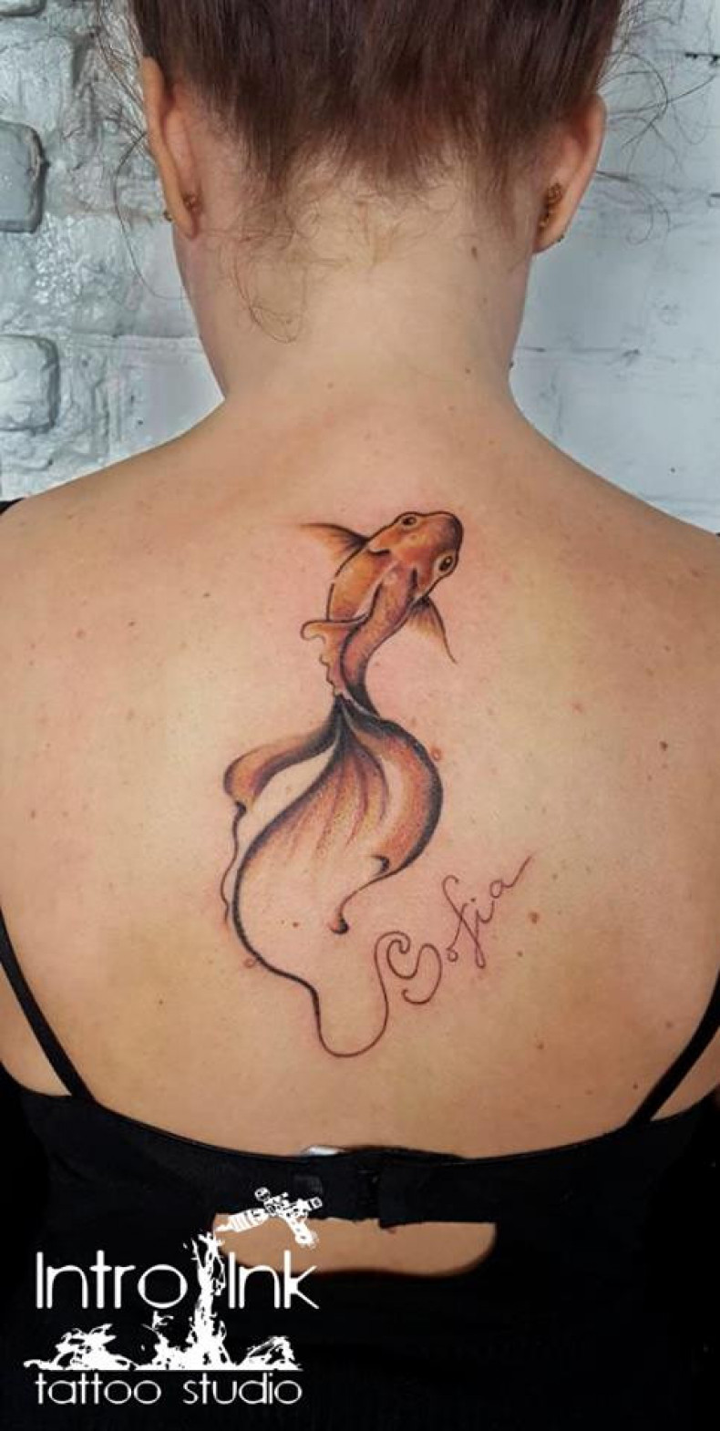 Women gold fish back, photo - Tattoo Master Barb Tattoo