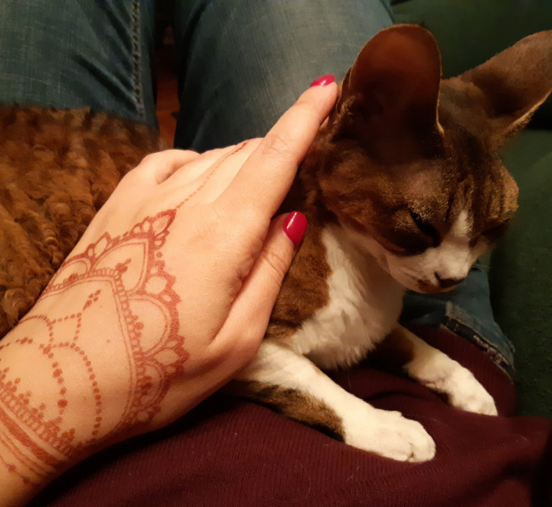 Women lace mehendi, photo - Tattoo Master Barb Tattoo