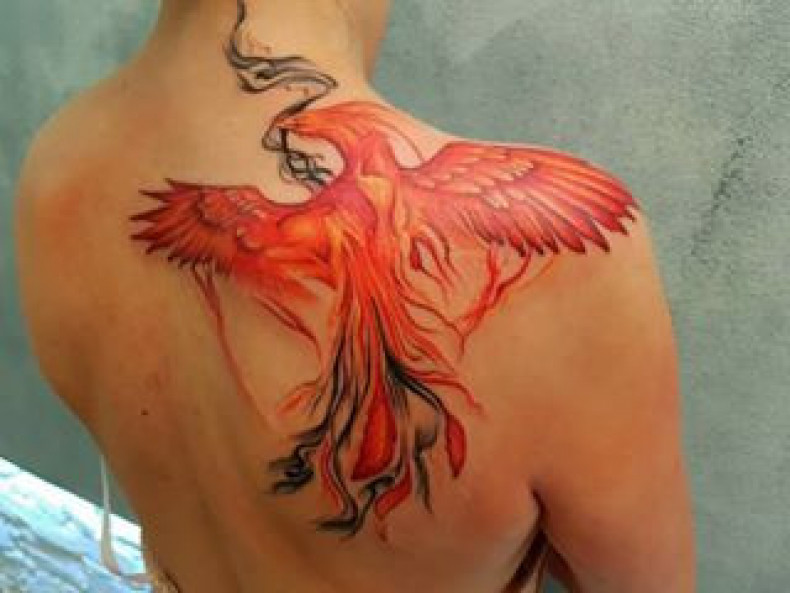 Women firebird shoulder blade, photo - Tattoo Master Barb Tattoo