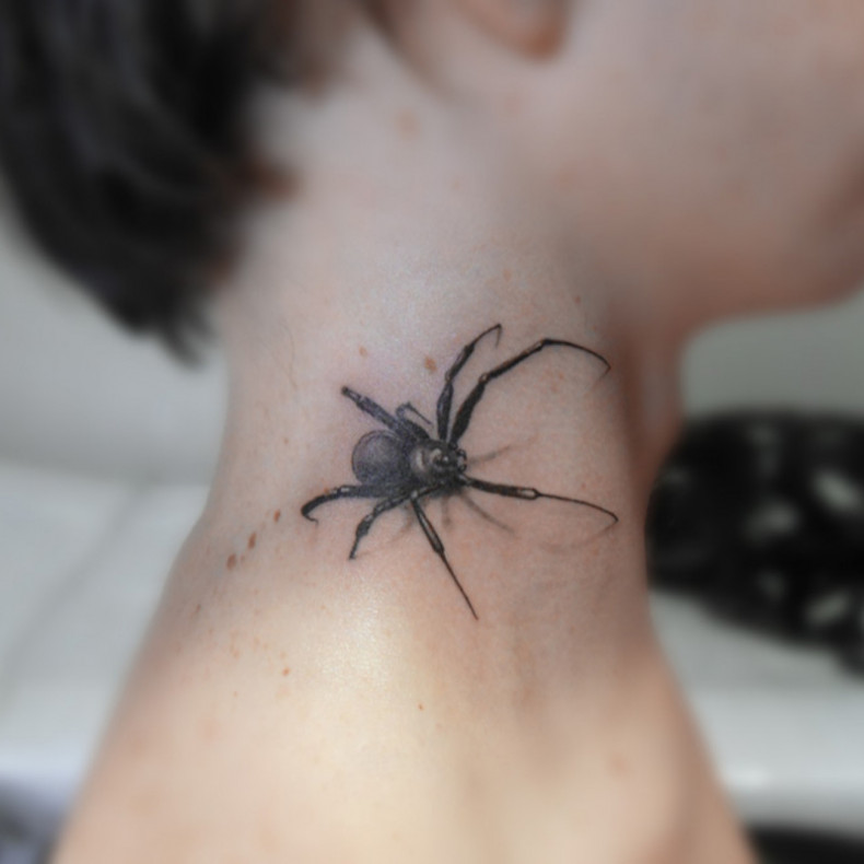 Spider tattoo on the neck, photo - Tattoo Master Barb Tattoo