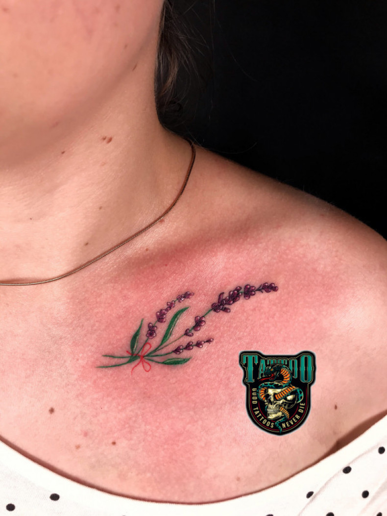 Damski lawenda na obojczyku, photo - Tatuażysta Barb Tattoo