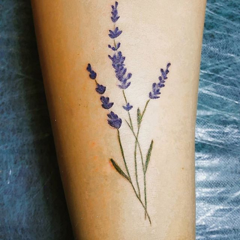 Women lavender leg, photo - Tattoo Master Barb Tattoo