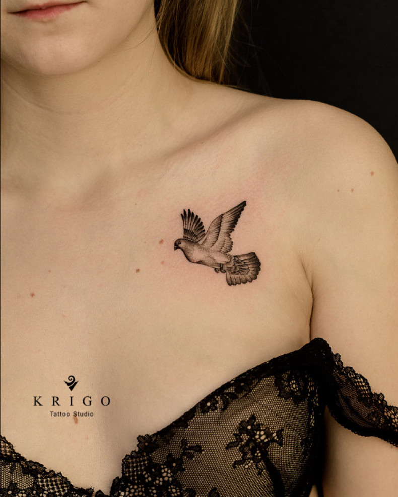 Women pigeon collarbone, photo - Tattoo Master Barb Tattoo