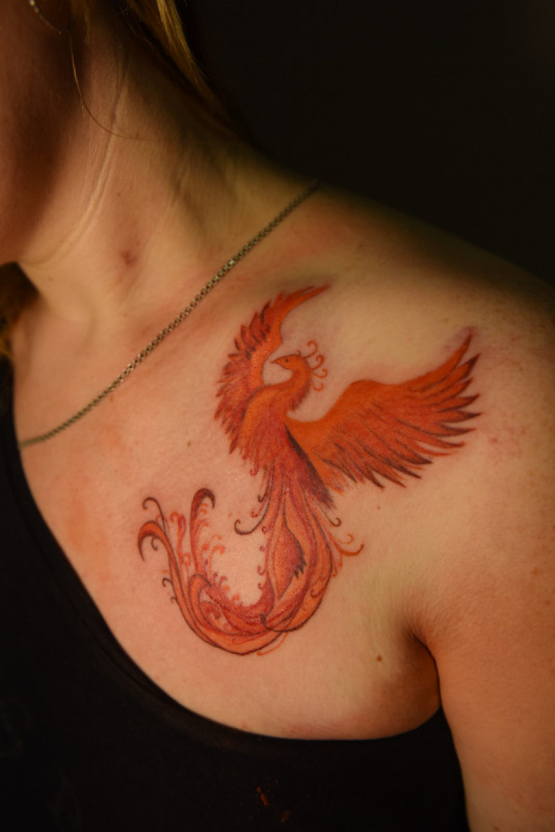 Women firebird collarbone, photo - Tattoo Master Barb Tattoo