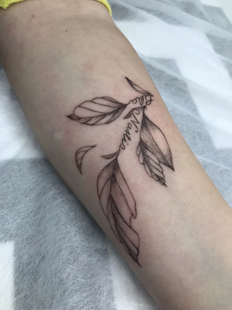 Women arm leaf, photo - Tattoo Master Barb Tattoo