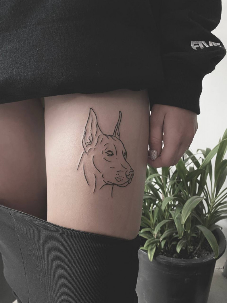 Frauen Dobermann linework, photo - Tattoo-Meister Barb Tattoo