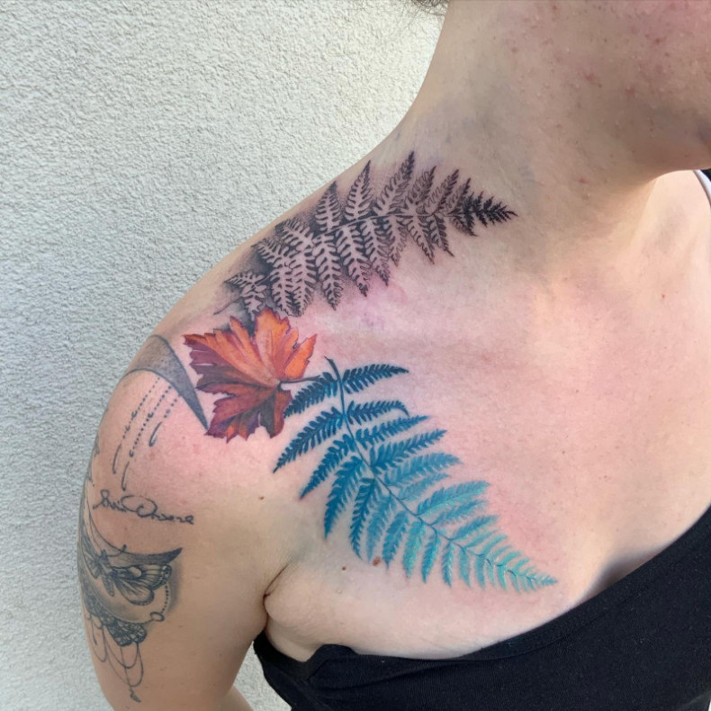 Women shoulder fern, photo - Tattoo Master Barb Tattoo