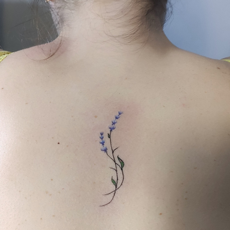 Women lavender back, photo - Tattoo Master Barb Tattoo