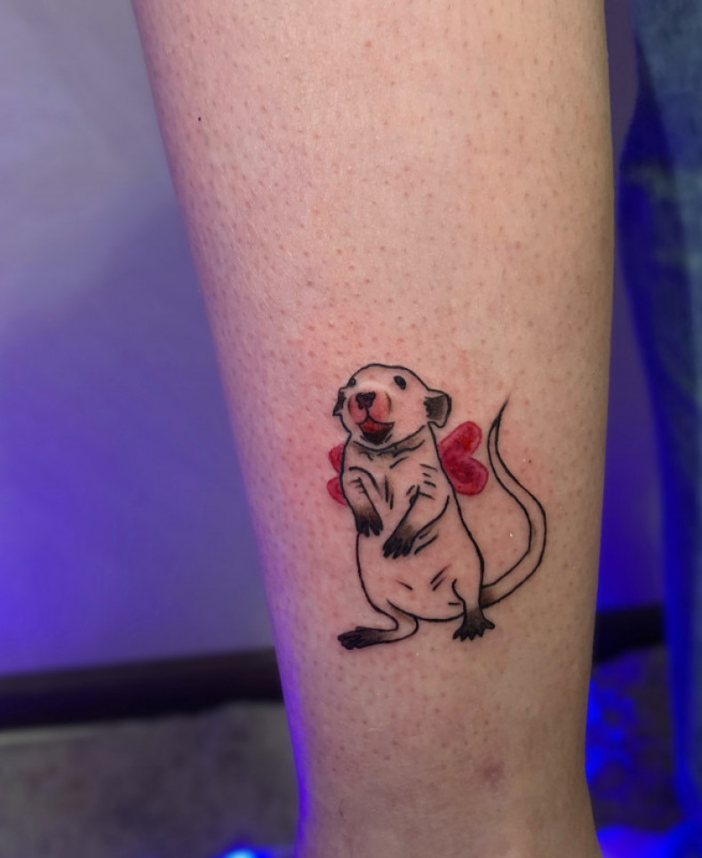 Women cartoons leg, photo - Tattoo Master Barb Tattoo