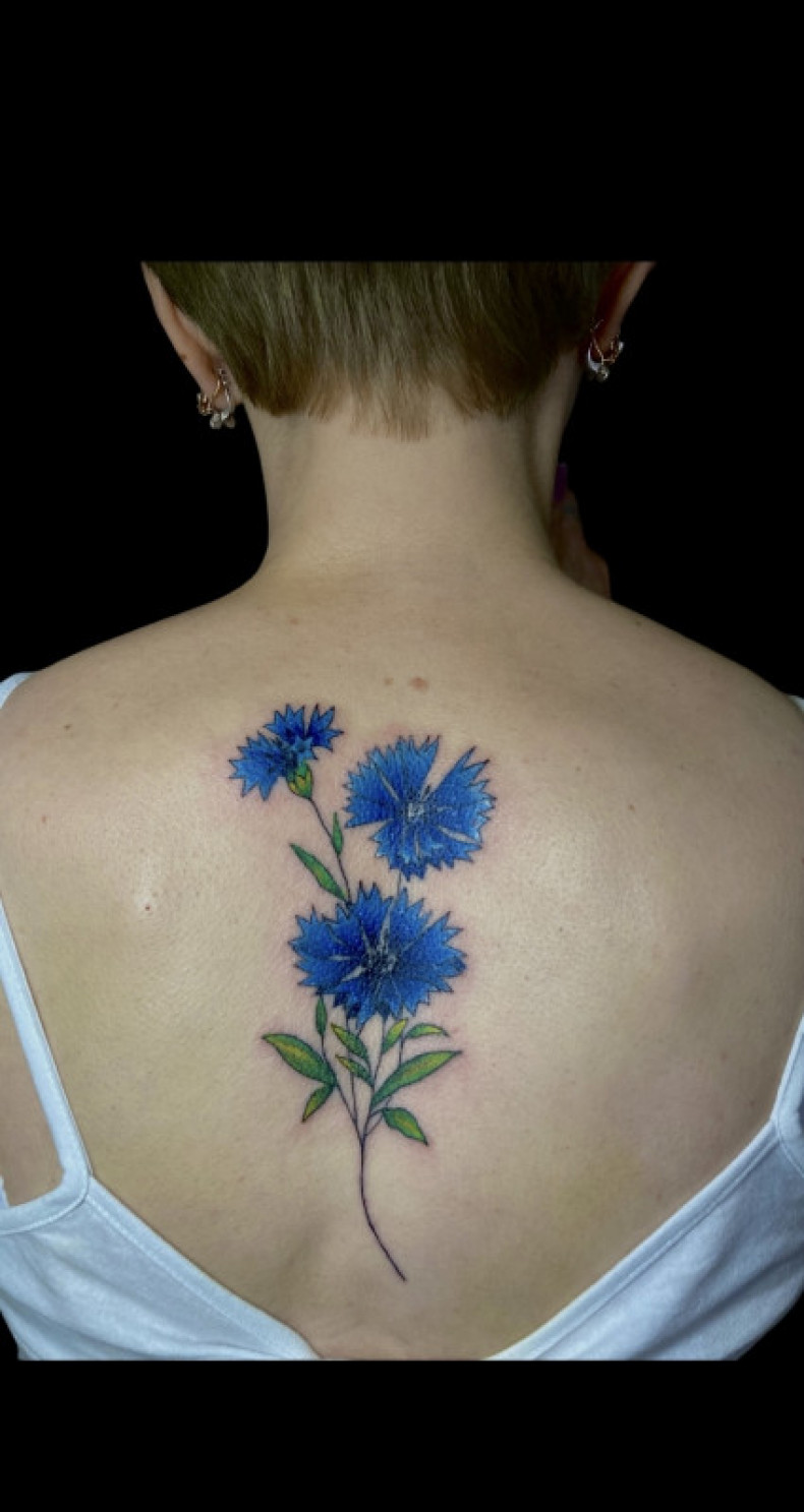 Women cornflower back, photo - Tattoo Master Barb Tattoo