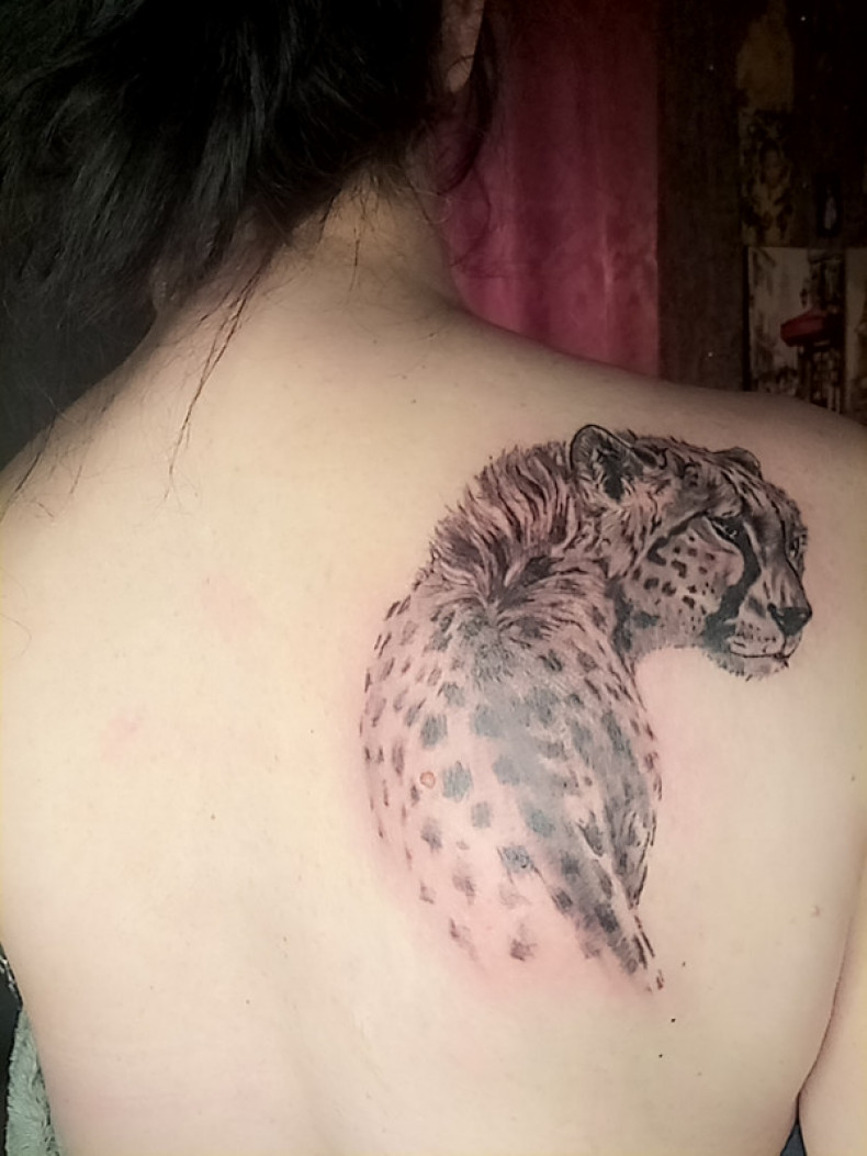 Women leopard shoulder blade, photo - Tattoo Master Barb Tattoo