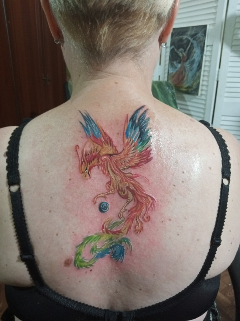 Women firebird back, photo - Tattoo Master Barb Tattoo