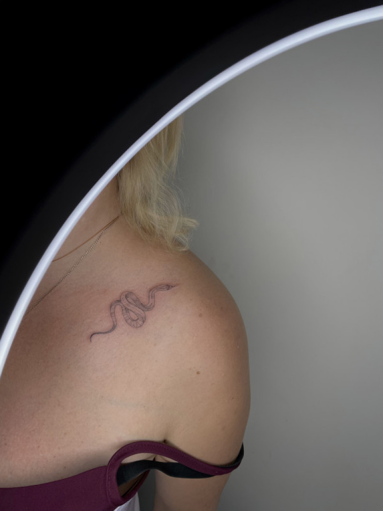 Snake tattoo, photo - Tattoo Master Barb Tattoo