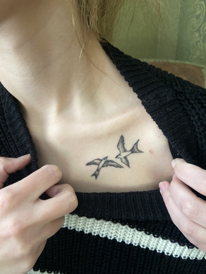 Healed swallow birds, photo - Tattoo Master Barb Tattoo