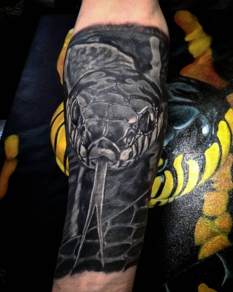 Wąż Fajny realistyczny, photo - Tatuażysta Barb Tattoo