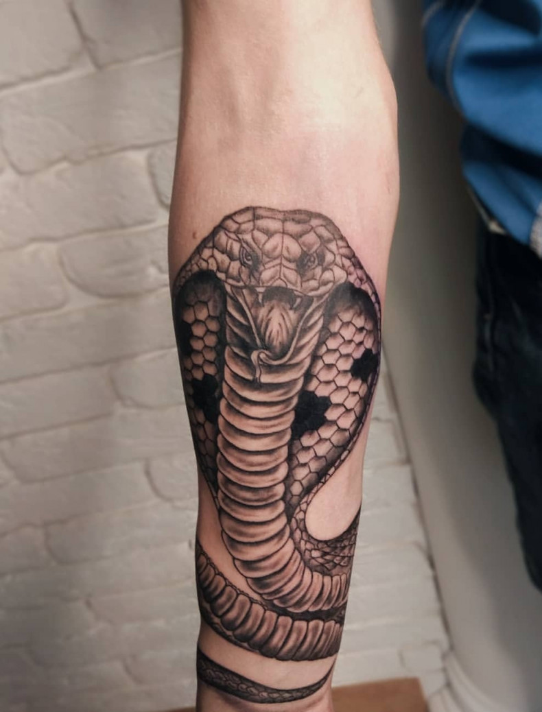 Wąż czarny szary kobra, photo - Tatuażysta Barb Tattoo