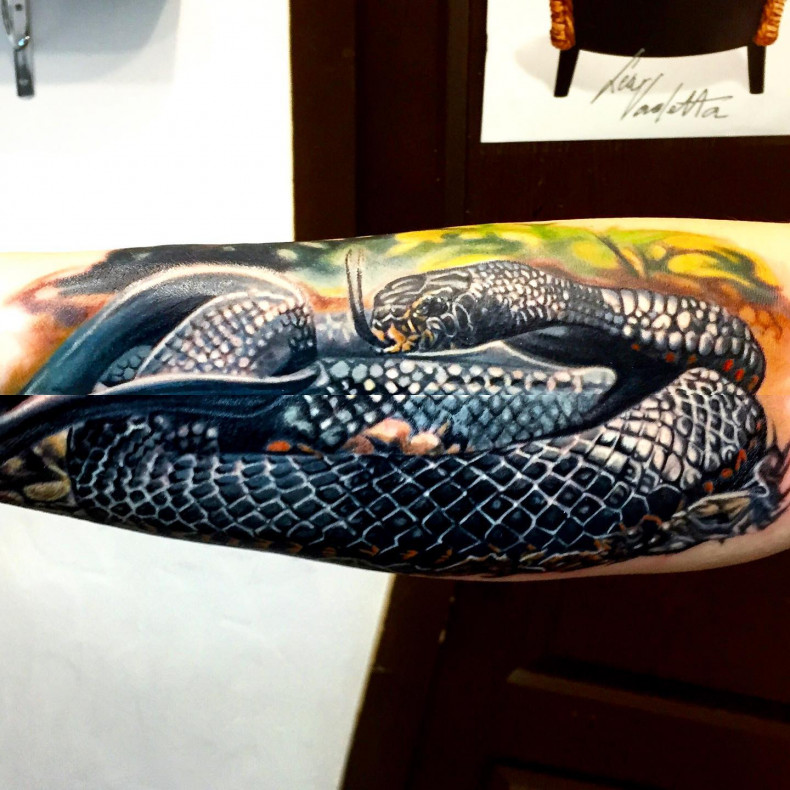 Schlangen 3d Cool, photo - Tattoo-Meister Barb Tattoo