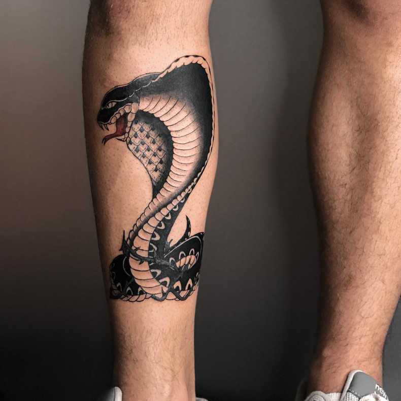 Змея кобра, photo - Тату мастер Barb Tattoo