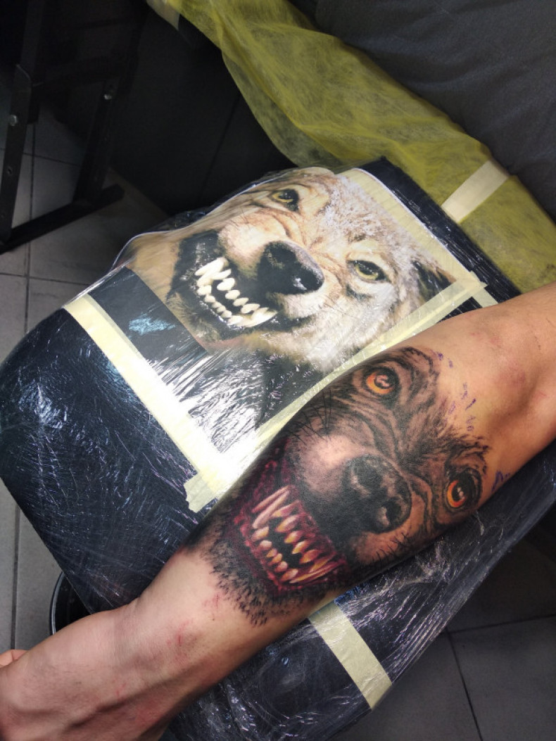 Wilk przedramię realizm, photo - Tatuażysta Barb Tattoo