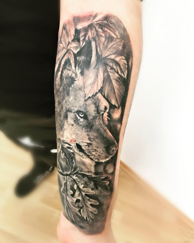 Wilk czarny szary gałąz, photo - Tatuażysta Barb Tattoo