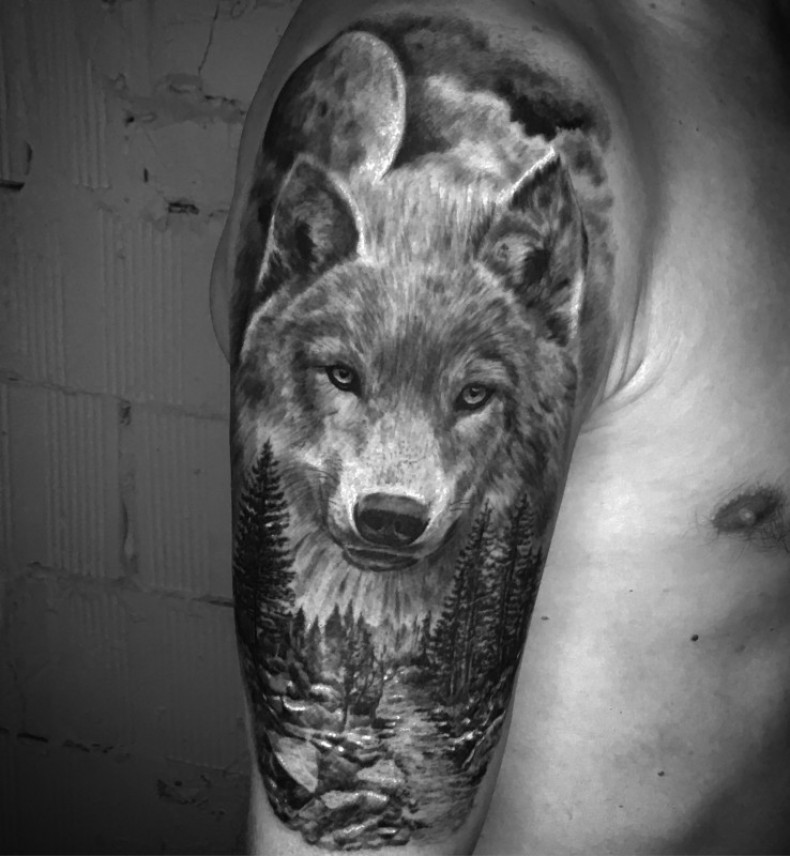 Wolf arm black and grey, photo - Tattoo Master Barb Tattoo