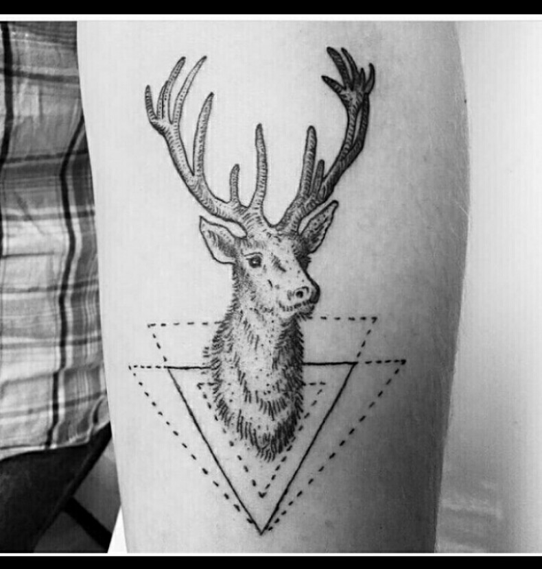 Arm dotwork deer, photo - Tattoo Master Barb Tattoo