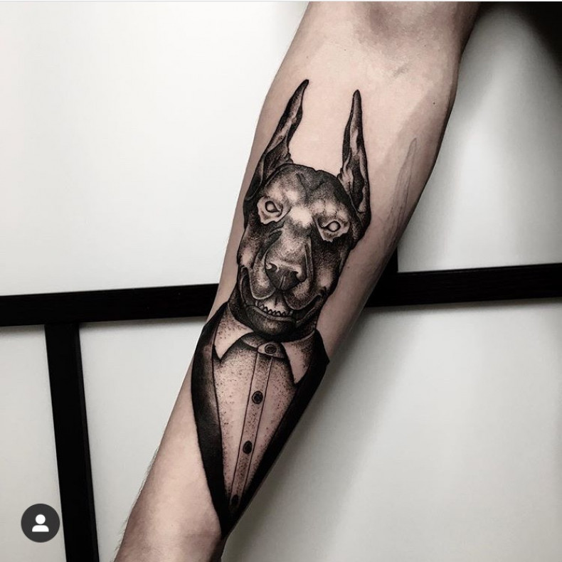 Na ramieniu doberman pies, photo - Tatuażysta Barb Tattoo