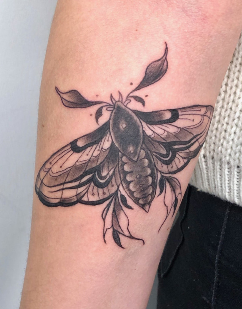 Arm black and grey beetle, photo - Tattoo Master Barb Tattoo