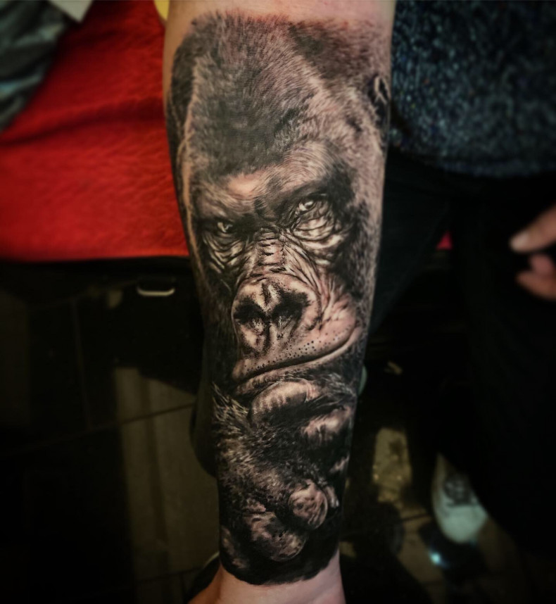 Na ramieniu goryl Fajny, photo - Tatuażysta Barb Tattoo