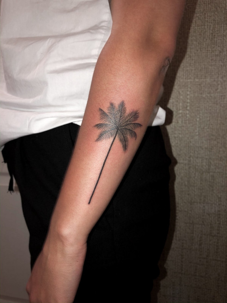 Arm palm tree, photo - Tattoo Master Barb Tattoo