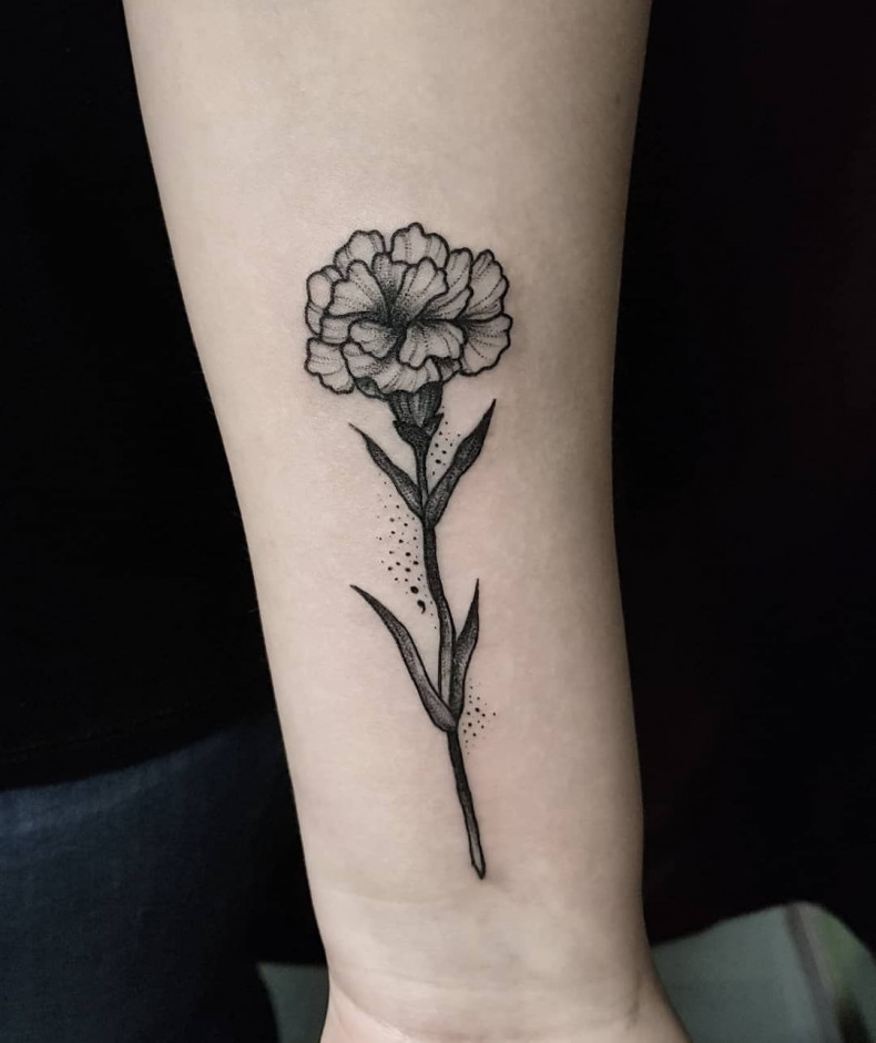 Arm carnation, photo - Tattoo Master Barb Tattoo