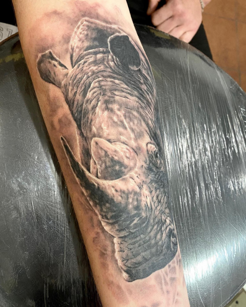 Ramię czarny szary nosorożec, photo - Tatuażysta Barb Tattoo