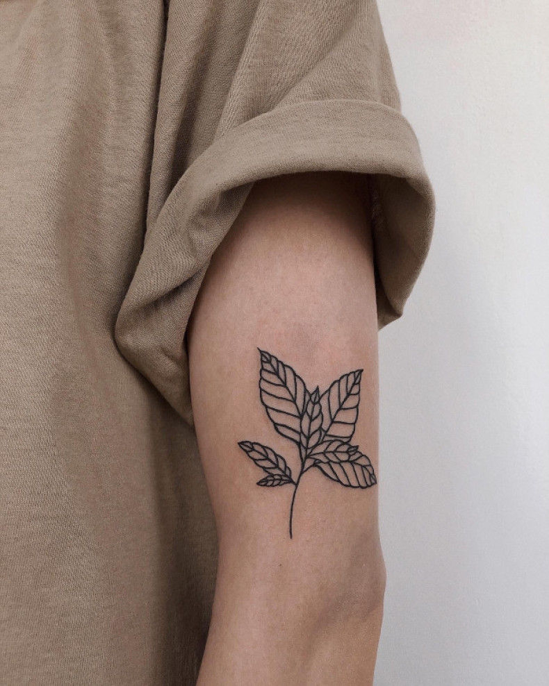 Na ramieniu liść Minimalistyczny, photo - Tatuażysta Barb Tattoo