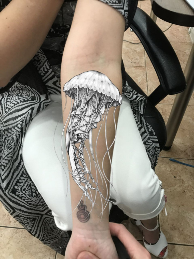 Arm jellyfish sketch, photo - Tattoo Master Barb Tattoo