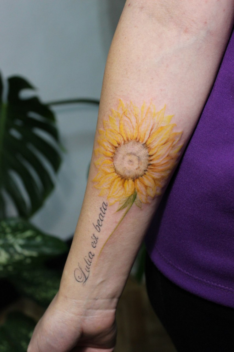 Arm sunflower colorful, photo - Tattoo Master Barb Tattoo