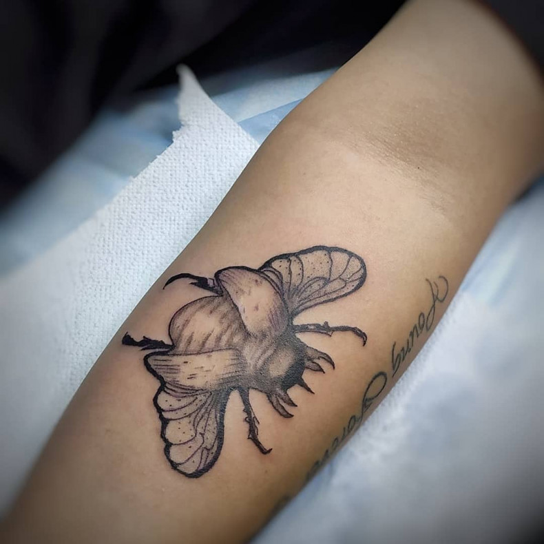 Arm beetle, photo - Tattoo Master Barb Tattoo