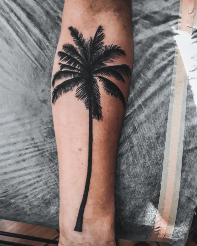 Arm palm tree, photo - Tattoo Master Barb Tattoo