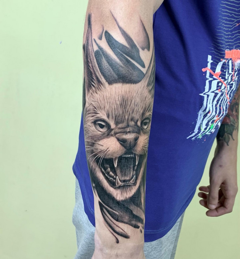 Arm black and grey lynx, photo - Tattoo Master Barb Tattoo