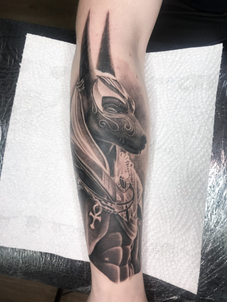 Arm black and grey anubis, photo - Tattoo Master Barb Tattoo