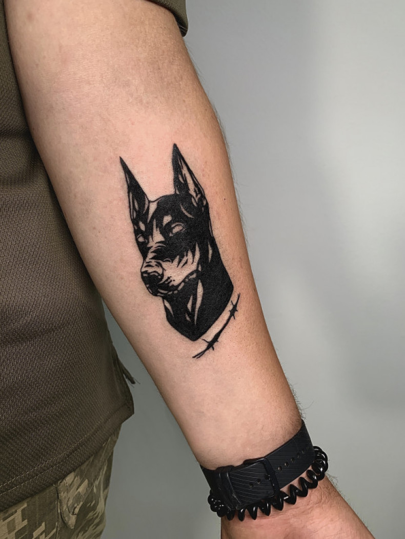 Arm blackwork doberman, photo - Tattoo Master Barb Tattoo