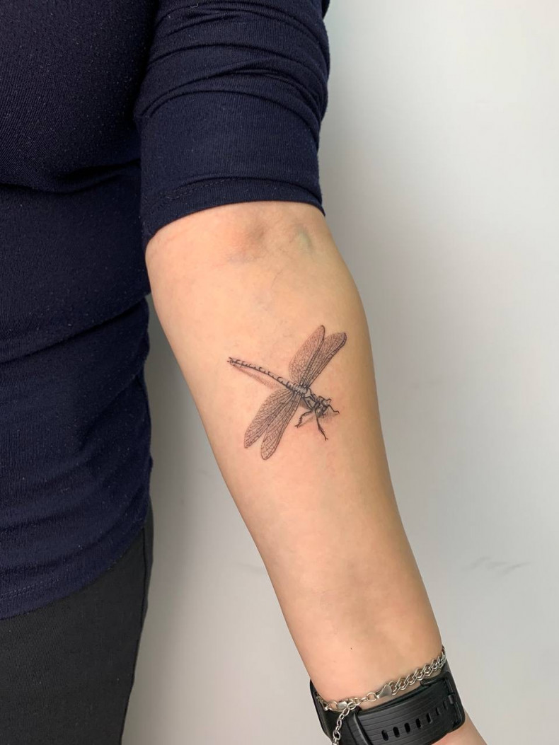 Arm dragonfly, photo - Tattoo Master Barb Tattoo