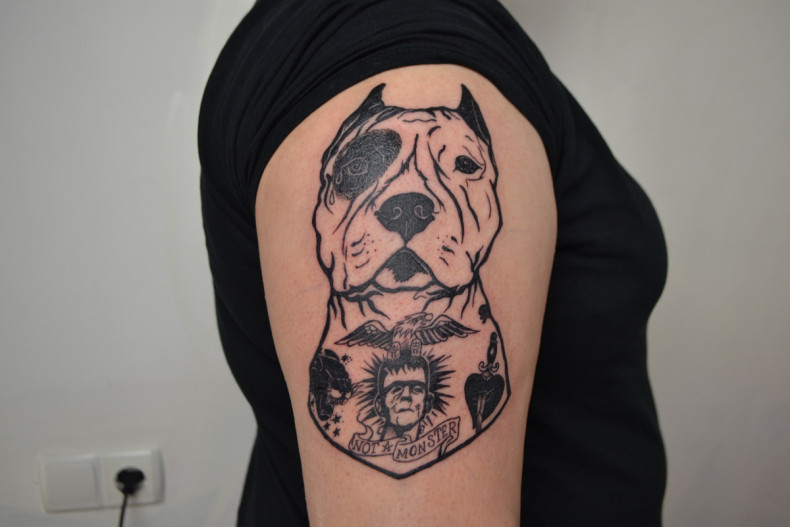 Arm shoulder pitbull, photo - Tattoo Master Barb Tattoo