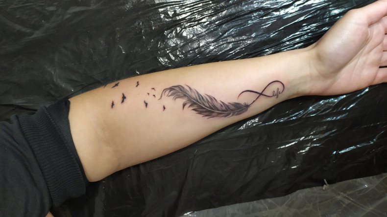 Arm infinity feather, photo - Tattoo Master Barb Tattoo