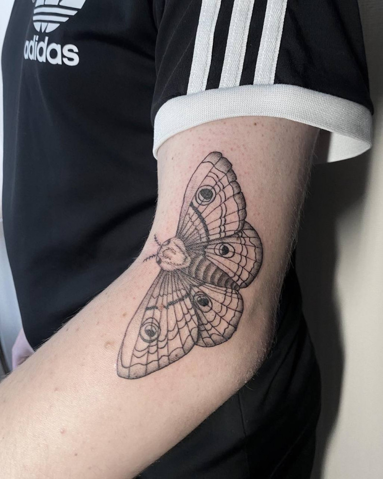 Na ramieniu ćma, photo - Tatuażysta Barb Tattoo