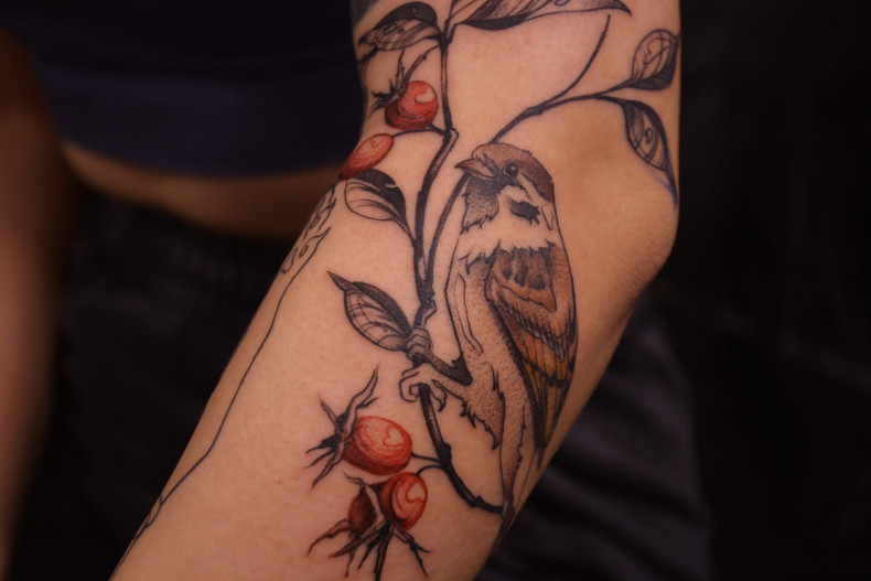 Arm sparrow bird, photo - Tattoo Master Barb Tattoo