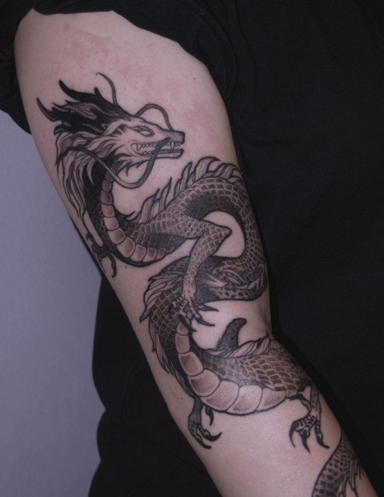 Arm dragon Chinese, photo - Tattoo Master Barb Tattoo