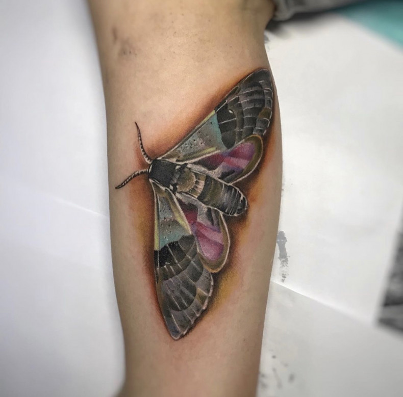 Moth leg, photo - Tattoo Master Barb Tattoo