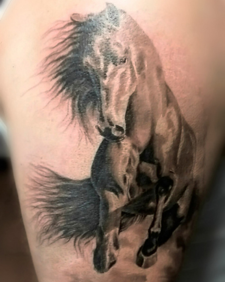 Koń na nodze, photo - Tatuażysta Barb Tattoo