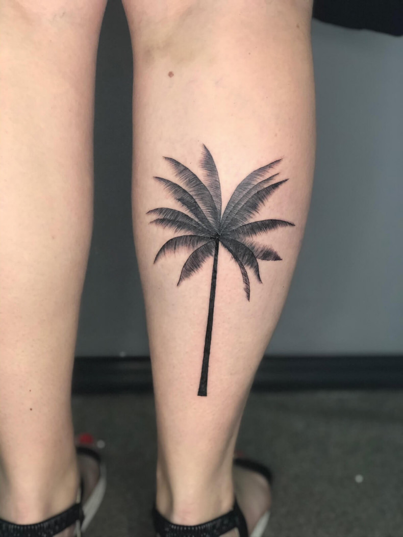 Tree shin calf, photo - Tattoo Master Barb Tattoo