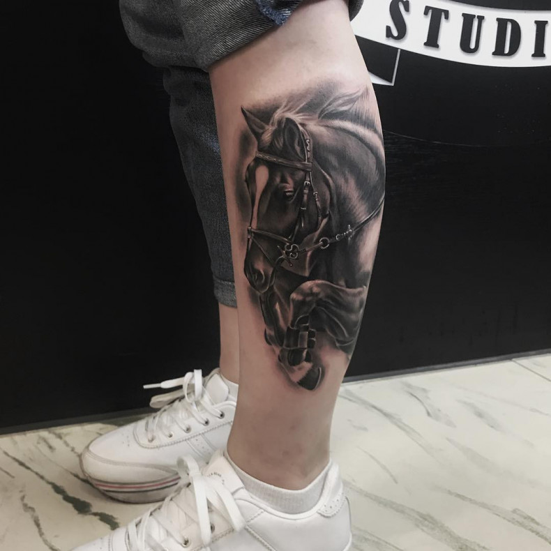 Блэк энд грей лошадь на ноге, photo - Тату мастер Barb Tattoo